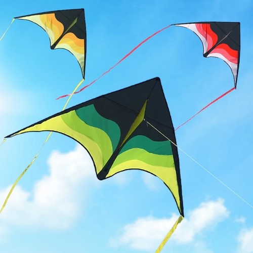 Yongjian large delta kite for - kite,