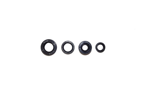 Engine seal kit - -, (16mm