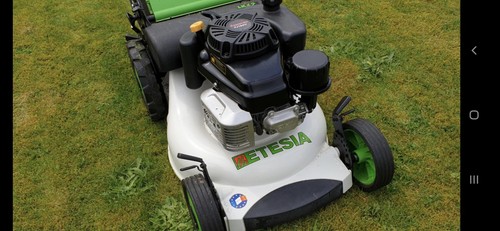 Etesia pro rotary lawnmower - etesia, 53