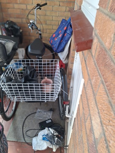 Adult wheeler cycle with - 3,