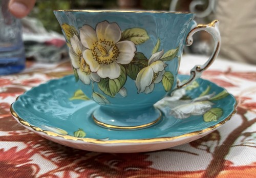 Aynsley fine bone china teacup - bone,
