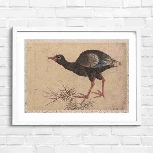 Traditional japanese bird - traditional,