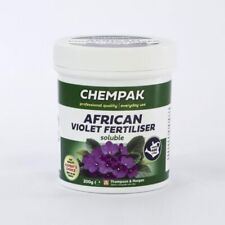 Chempak African Violet