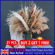 21 PCS Natural Dried Pampas