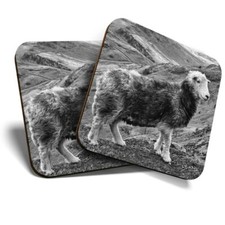 2 x Coasters (BW) - Herdwick