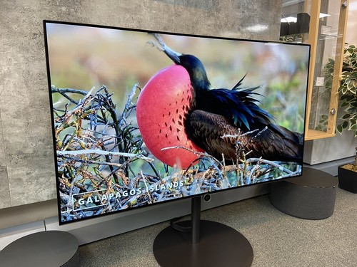 Loewe bild inch - i.55, oled