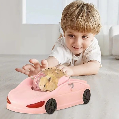 Hamster running ball rolling - running,