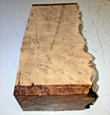 160X78X330MM LOT 541A BURR ELM