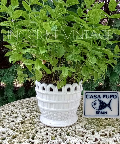 Vintage casa pupo large - vintage,