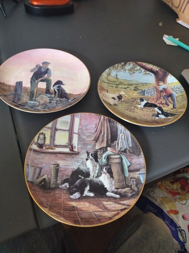Border fine arts collector - border,