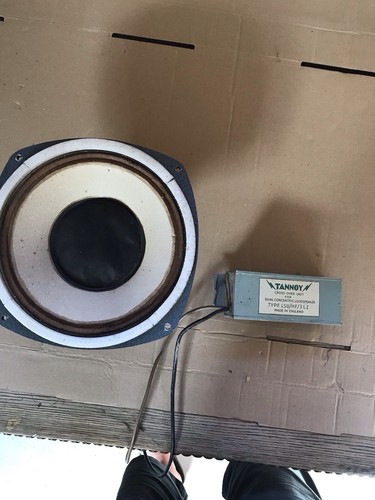 Tannoy red monitor dual - tannoy,