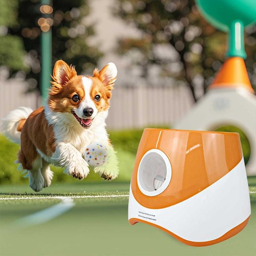 Automatic ball launcher - automatic,