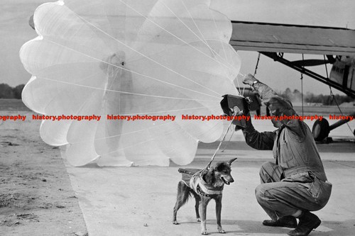 F002210 usaf airman adjusts - airman,