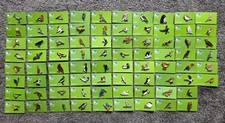 78 RSPB Full Set Of NIIC Bird Charity Pin Badges