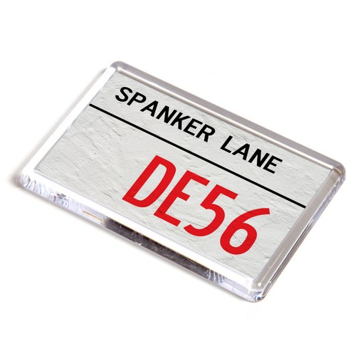 Fridge magnet spanker lane - fridge,