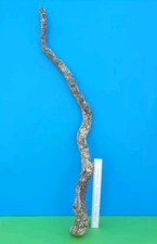 CORK BARK BRANCH 95CM LEOPARD