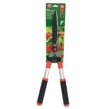 Ambassador Wavy Edge Hedge