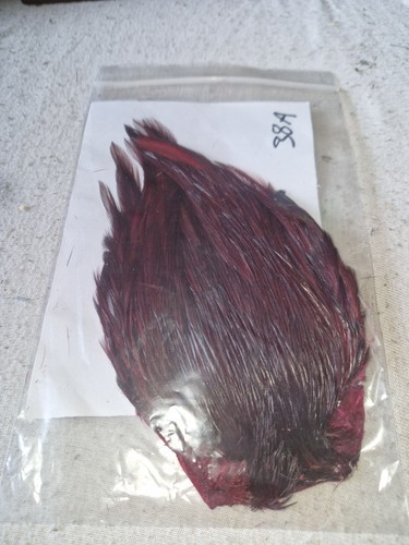 Cock cape fly tying - cock, cape,fly