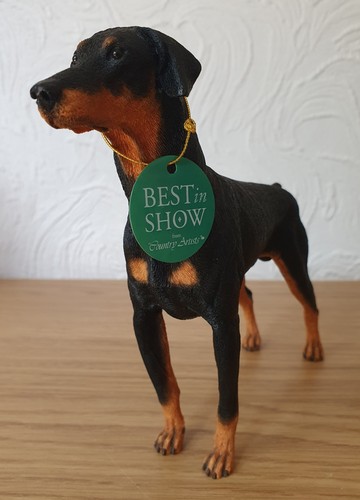 Gorgeous vintage doberman - vintage,