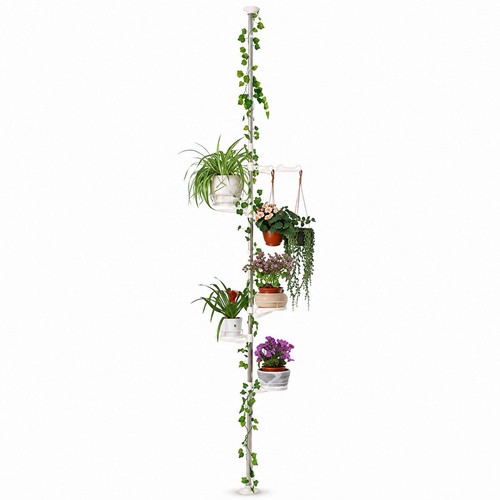 Baoyouni tier indoor - 5-tier,