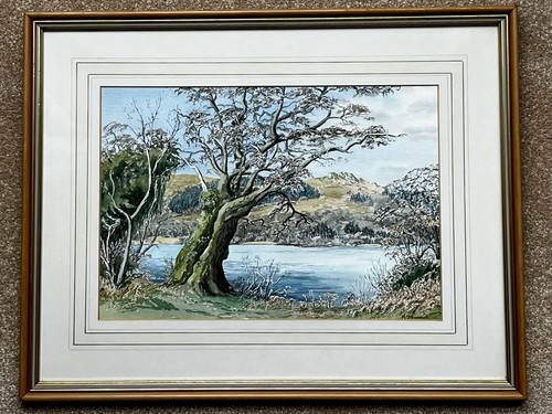 Old oak beside - old,