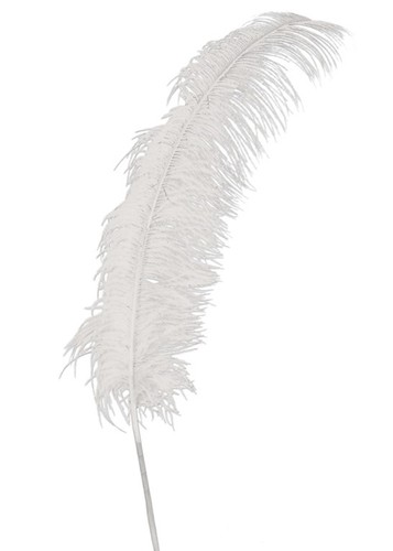 Giant white ostrich - white,