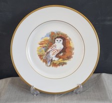 Snowy Owl & Young Coalport Decorative Plate Pratt Image