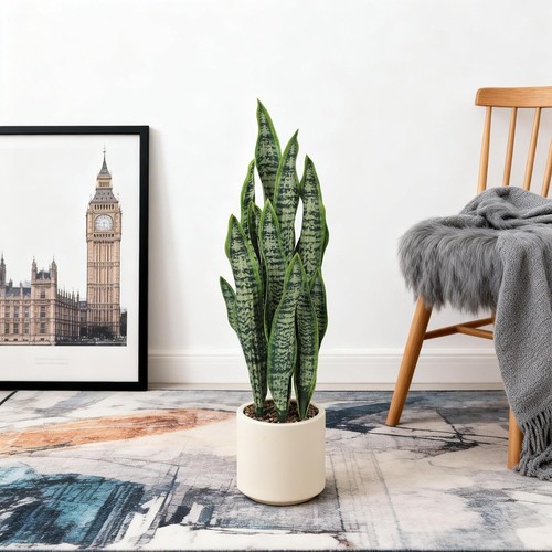 Artificial snake plant 80cm - snake,