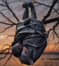 Quality Resin Hanging Bats Garden Ornament Gothic Bat Indoor or Outdoor Decor