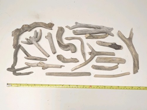Mixed collection driftwood - 18,
