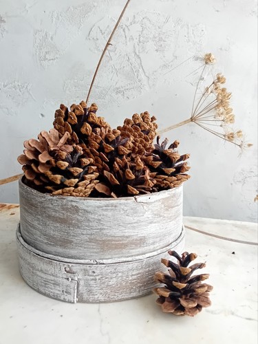 Vintage bentwood steel - steel, mesh