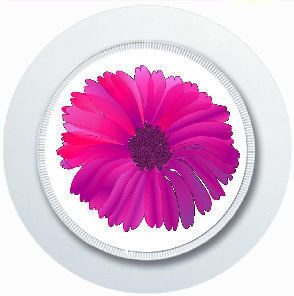 Pink daisy tax - daisy, car