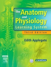 The Anatomy and Physiology