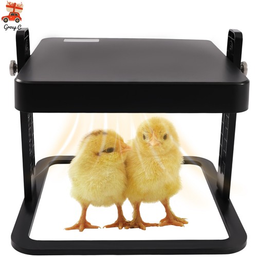 Chick brooder heat - 15, brooder/heat