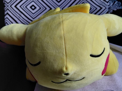 2022 large pokemon - large,