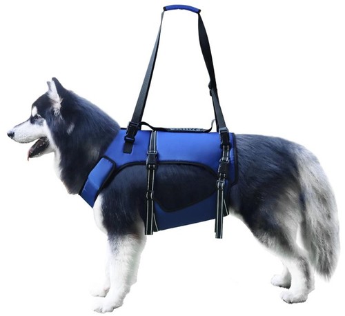 Dog lift support harness - dog,