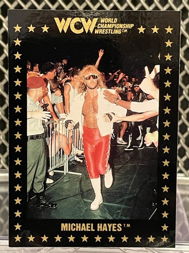 1991 michael hayes - hayes, wcw