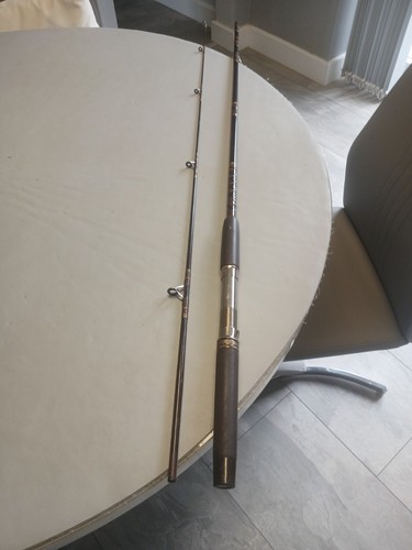 Kassnar 7ft two piece spinning - two,