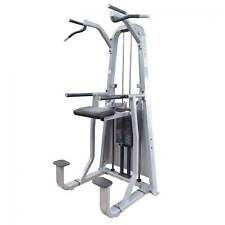 Precor Icarian Assisted Chin Dip - Commercial Gym Equipment 