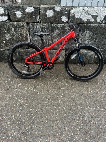 Mountain bike trail - mountain,