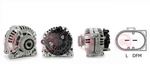 Alternator with freewheel belt