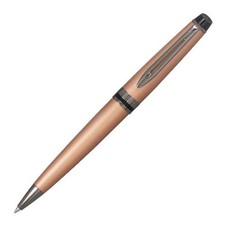 Waterman  Expert Ballpoint Pen