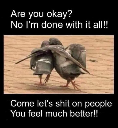 Funny pigeon refrigerator