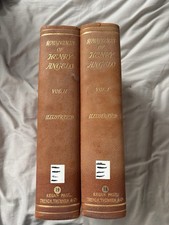 Limited 16/75 Henry Angelo