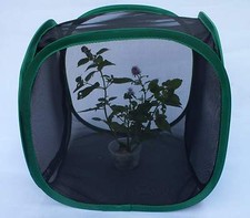 Praying mantis/Stick Insect/Leaf Insect/butterfly/chameleon pop up cage UK STOCK