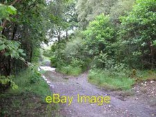 Photo 6x4 Track of old narrow