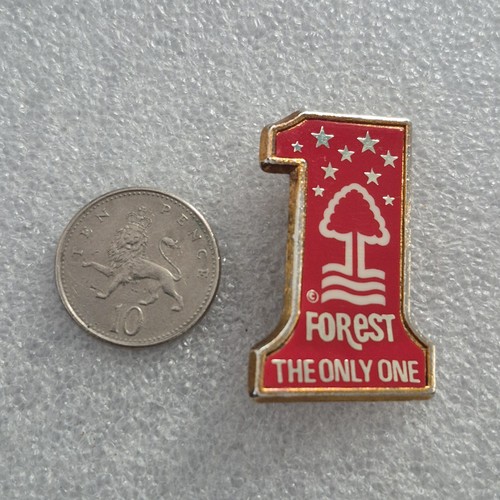 Nottingham forest coffer - nottingham, badge