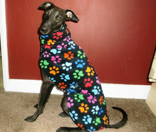 Whippet fleece dog coat jacket - whippet, coat/jacket