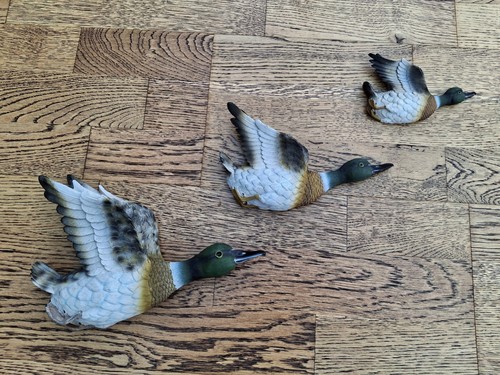 Flying mallard resin wall - flying,