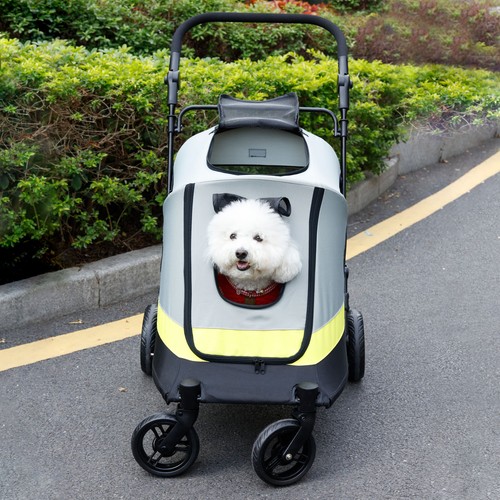 Bingopaw dog cat - dog,